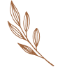 Oceanshore Aesthetics and Wellness, Inc.