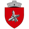 Primăria Ocna De Fier