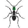 O'Connor Pest Control
