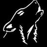 Coyote Ótica