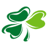 Pub Irish Stones
