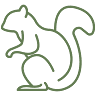 Olander's Wildlife Control