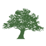 Oldenboom Meinesz B.V.