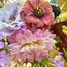 Old Town Floral