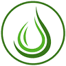 Olio Aulivus