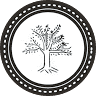 Terra Nera - Produzione Olio Toscano IGP e Agriturismo