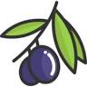 Oliva! Gourmet Olive Oils & Vinegars