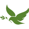 Olive Dental Care
