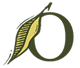 Olivella