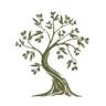 The Olive Tree Mediterranean Cafe