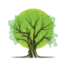 Olive Tree Towcester