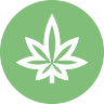 One Green Leaf