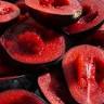 Ooray Orchards
