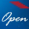 Open Skies Travel