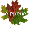O Plantio