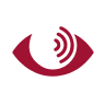 OPTICA Y AUDICION Alejandro Grau