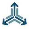 Revenue Management Associates LLC