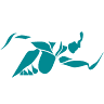 OPTIMUM Training - Fitnessstudio, Gruppenstunden, Personal Training