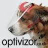 Optivizor.co.uk