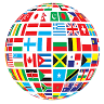 Oracle International Language Institute