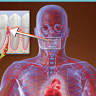 Oral System Evaluation Center