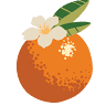 Orange Blossom Dentistry