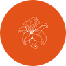 Orange Lily