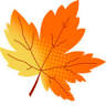 Orange Maple Properties