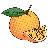 Orange Pest Control