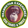 Orangutan Experience