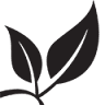 The Orchard