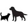 Orchards Veterinary Clinic: Braun Ryan DVM