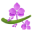 The Orchid Hotel Mumbai Vile Parle