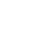Metro Regional Government