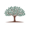 Organic Basic Food