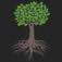 Organic Rootz
