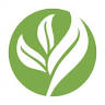 Organic Skin Solutions