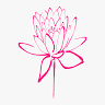 Oriental Health and Beauty Salon