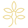 Origem 75