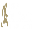 CarePlex Orthopaedic Ambulatory Surgery Center
