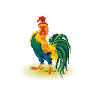 l'Orto del Gallo