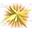 ouest poses energies