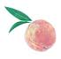 Rich Fruits (リッチフルーツ)