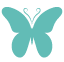how hearing the ovarian cancer whisper