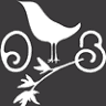 Ovenbird | Austin