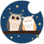 Owl Village Cafe Harajuku