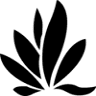 Oxford Wholefoods Ltd