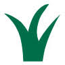 Ozbreed Greenlife Pty Ltd
