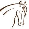 Paardendeken Service Foort