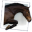 Paardenkliniek Venlo B.V.